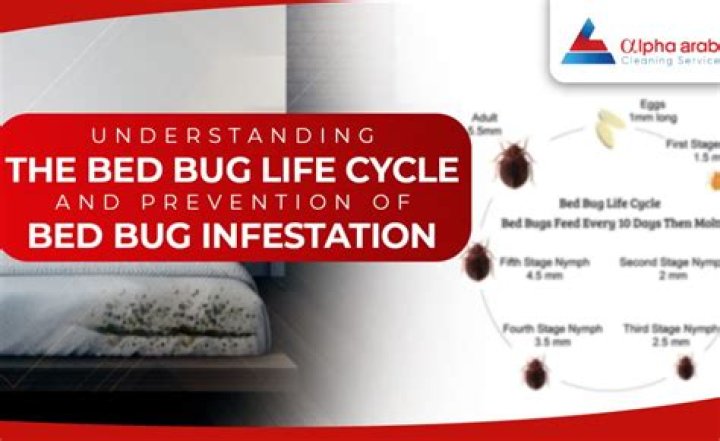 
Alex Maina Ochogo trial update: Inmate complains of bedbug infestation in prison 