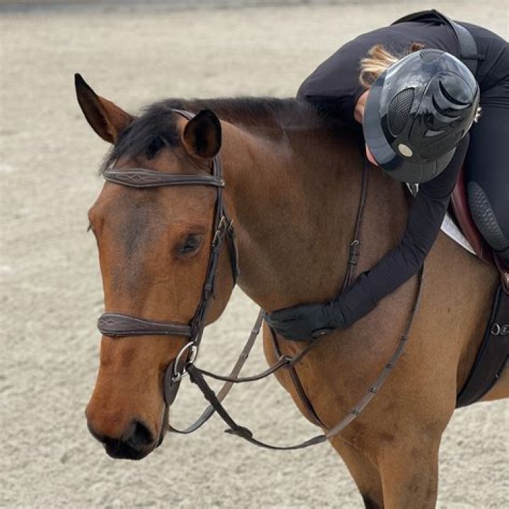 Rider Tyler Gaffalione Wife Cassidy Edwards Are Married Since July Of 2022